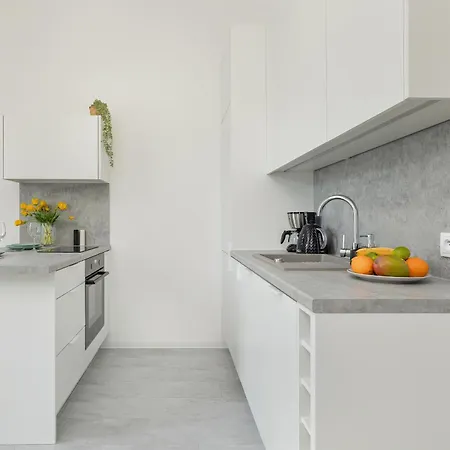 Nowoczesne Typu Z Parkingiem By Renters Daire