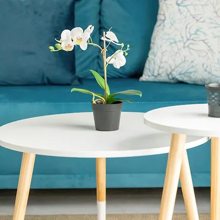 Nowoczesne Typu Z Parkingiem By Renters Daire *