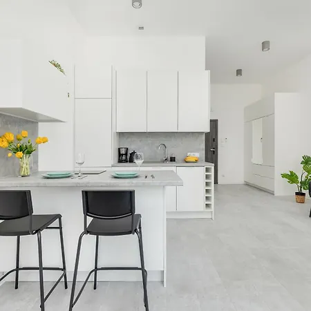 Nowoczesne Typu Z Parkingiem By Renters Apartment *