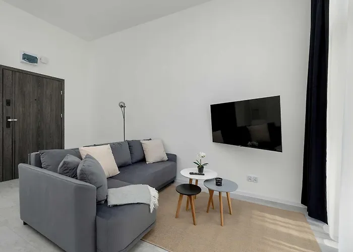 Nowoczesne Typu Z Parkingiem By Renters *