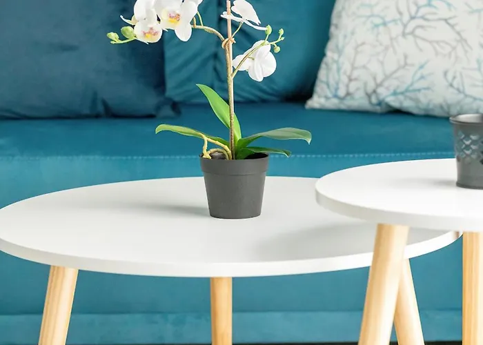 Nowoczesne Typu Z Parkingiem By Renters アパート *