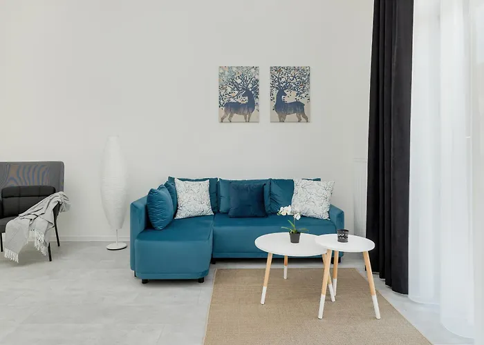 Nowoczesne Typu Z Parkingiem By Renters アパート *