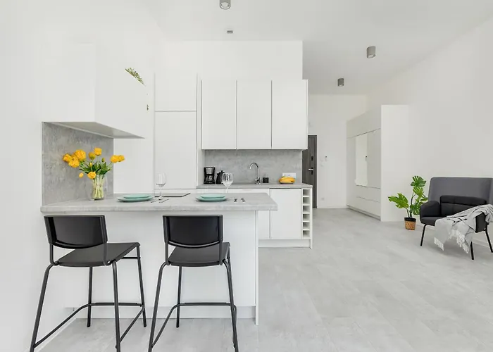 Nowoczesne Typu Z Parkingiem By Renters アパート *