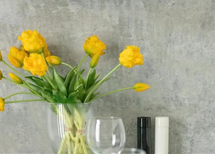 Nowoczesne Typu Z Parkingiem By Renters